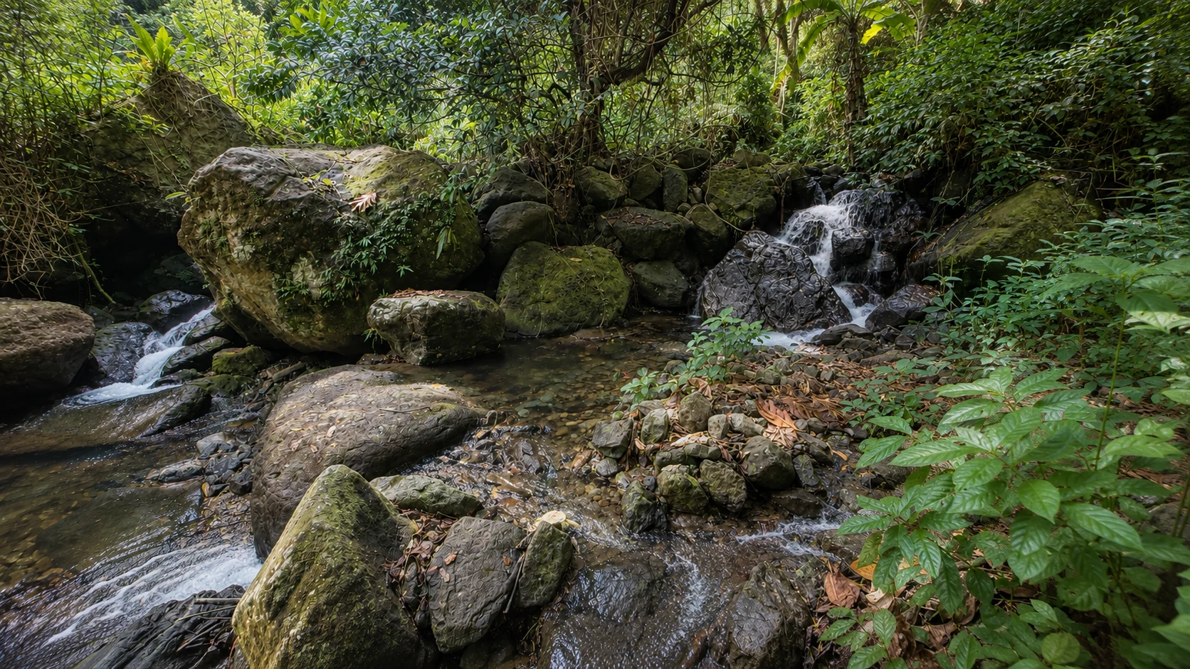 Finca Ki’ rooms and mountain landscape